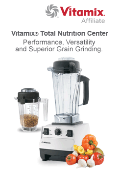 vitamix